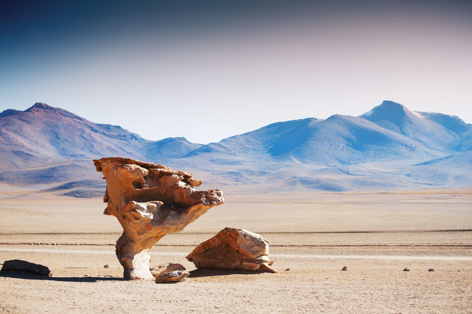 A stone tree rock formation in the Eduardo Avaroa Andean Fauna National Reserve of Sur Lípez Province, Bolivia.