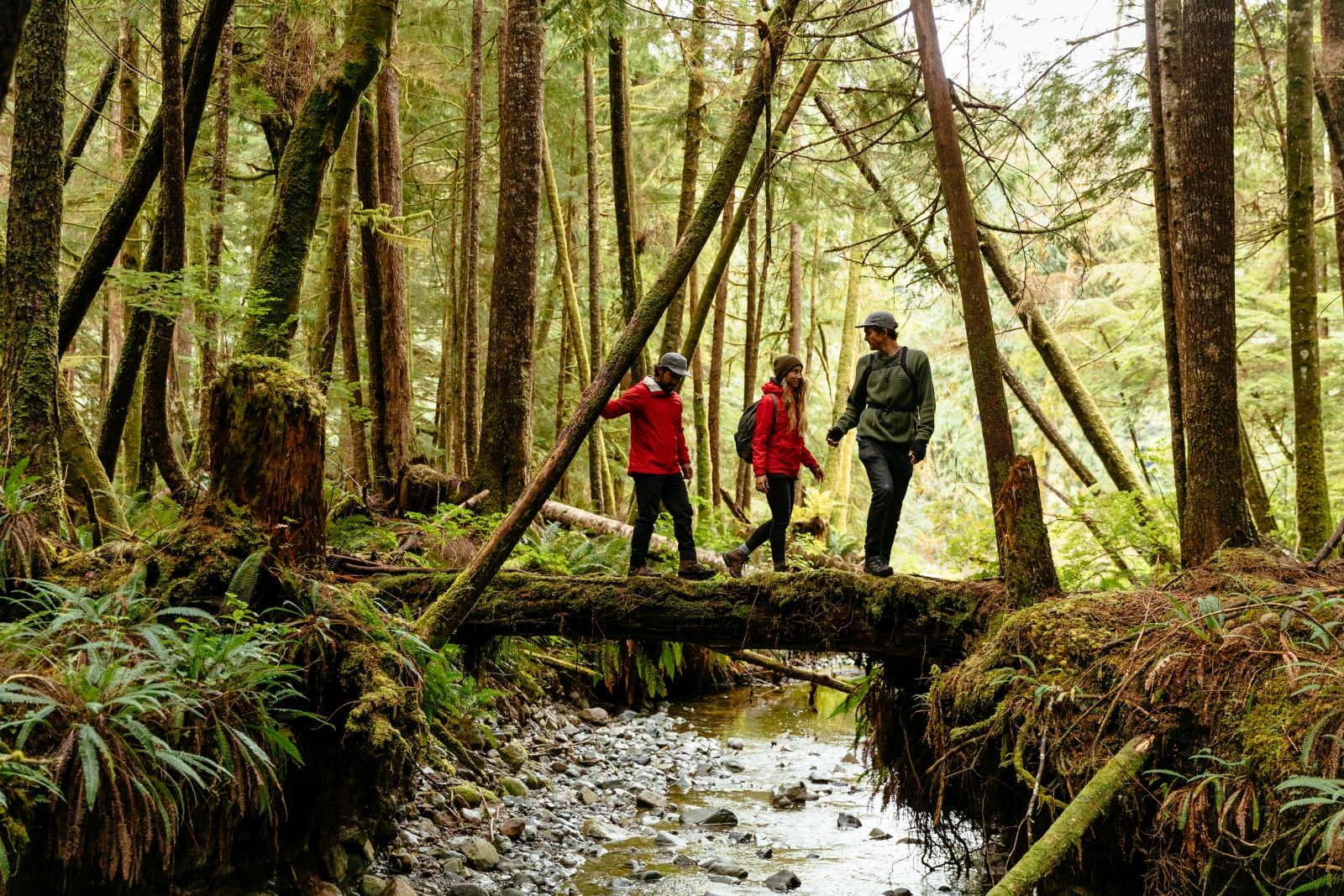 Three guests out on a hike through the lush green forest near luxury hotel Nimmo Bay in Canada