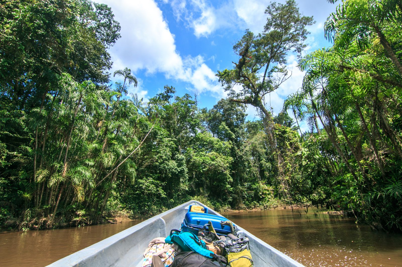 Kayaking through the Amazon Rainforest in a canoe, Ecuador