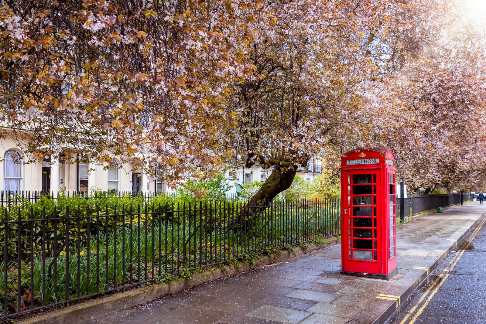 A telephone box in London