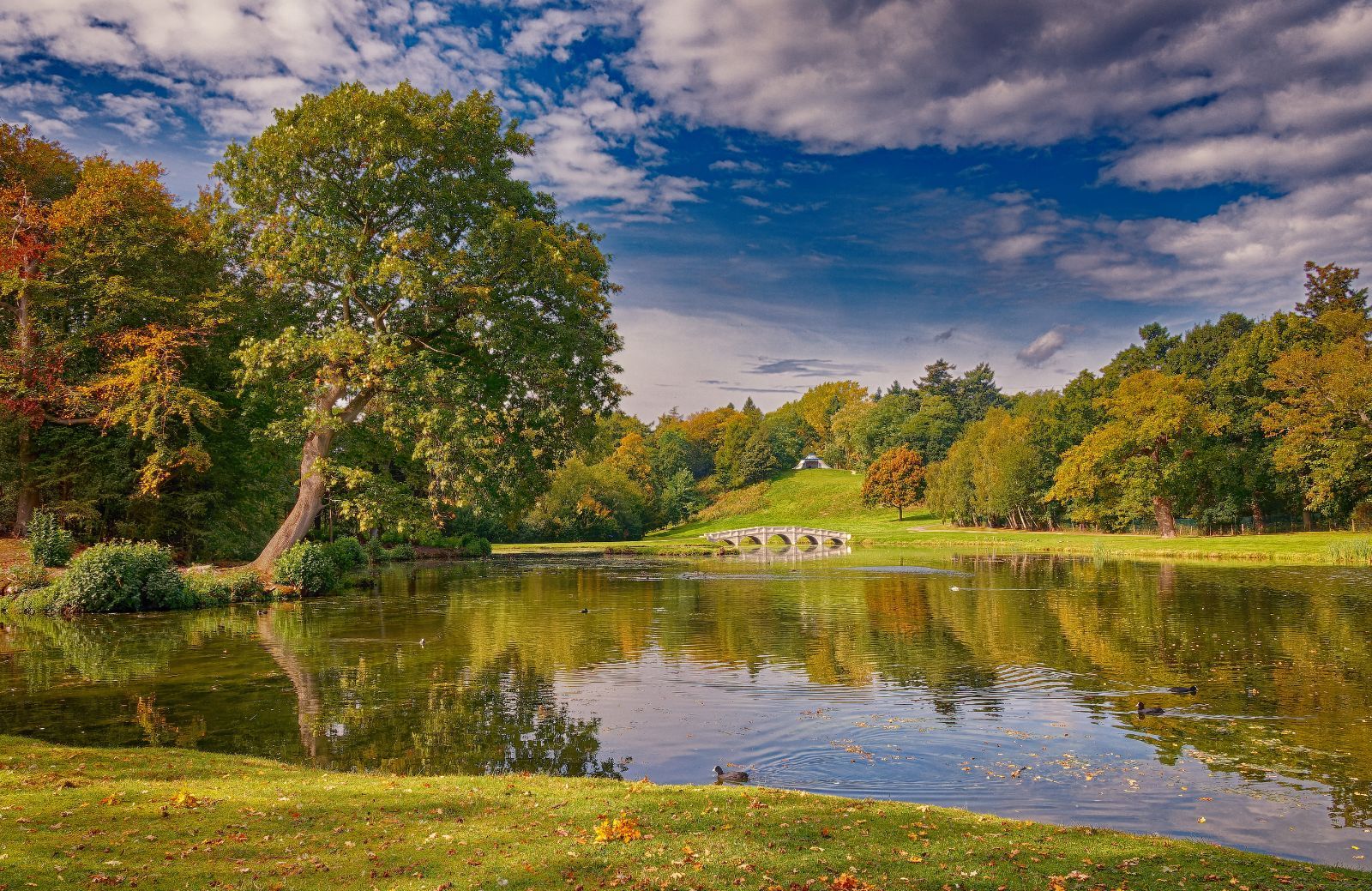 Painshill Park lake and trees in Great Britain
