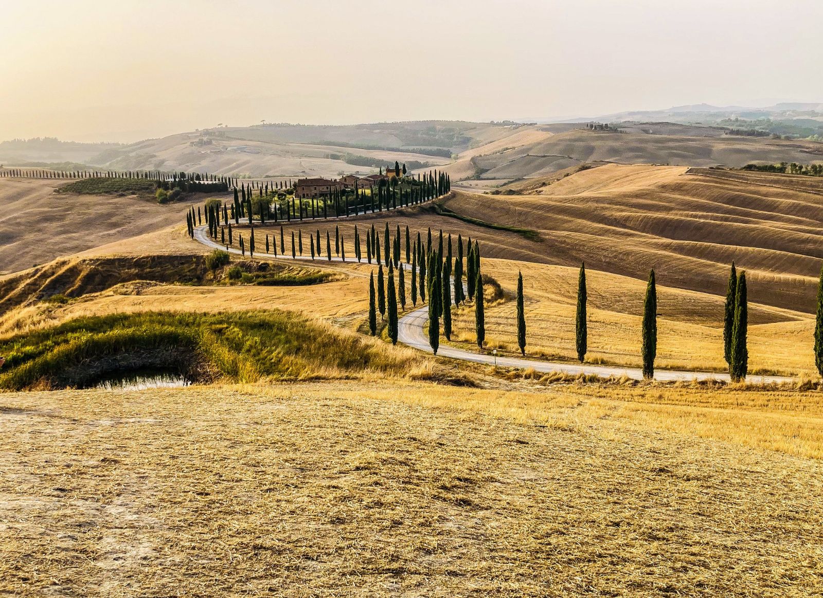 Golden hills and cypress lined roads in Tuscany Italy