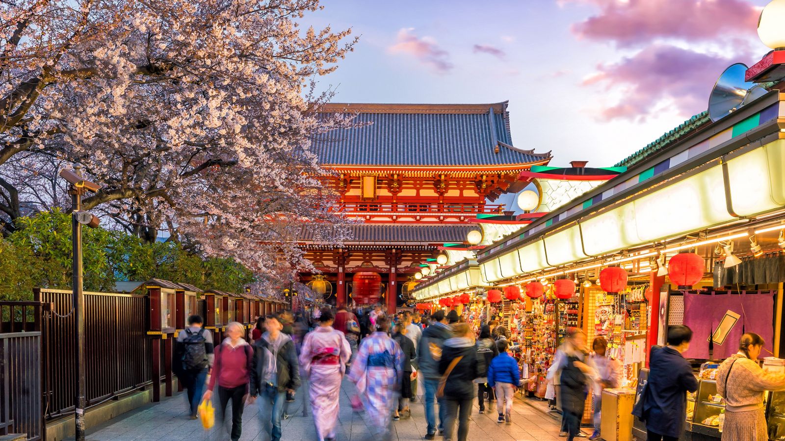 A shopping street in Tokyo with a cherry blossom tree and temple in the background