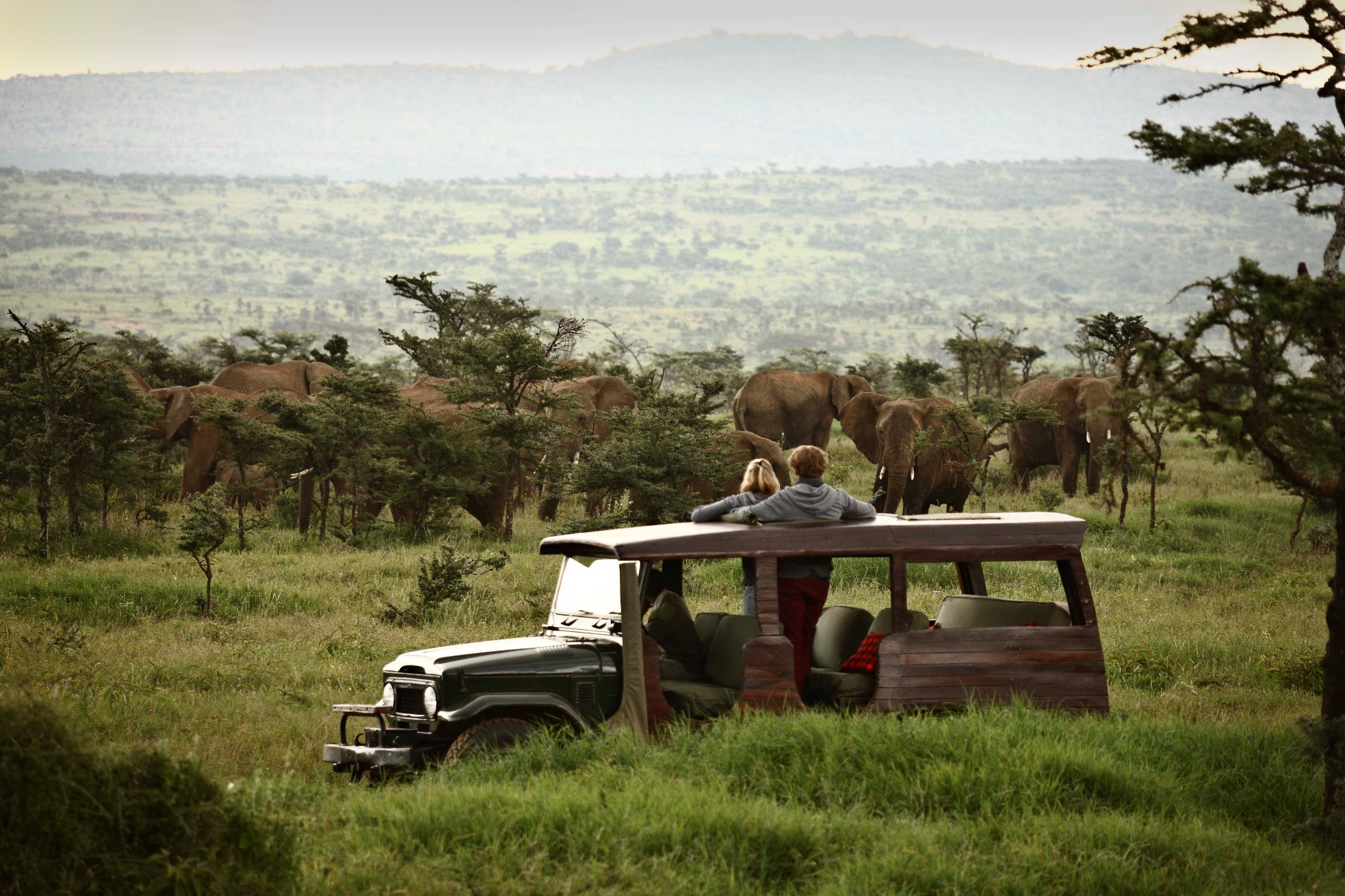 A game drive from Enasoit in Kenya
