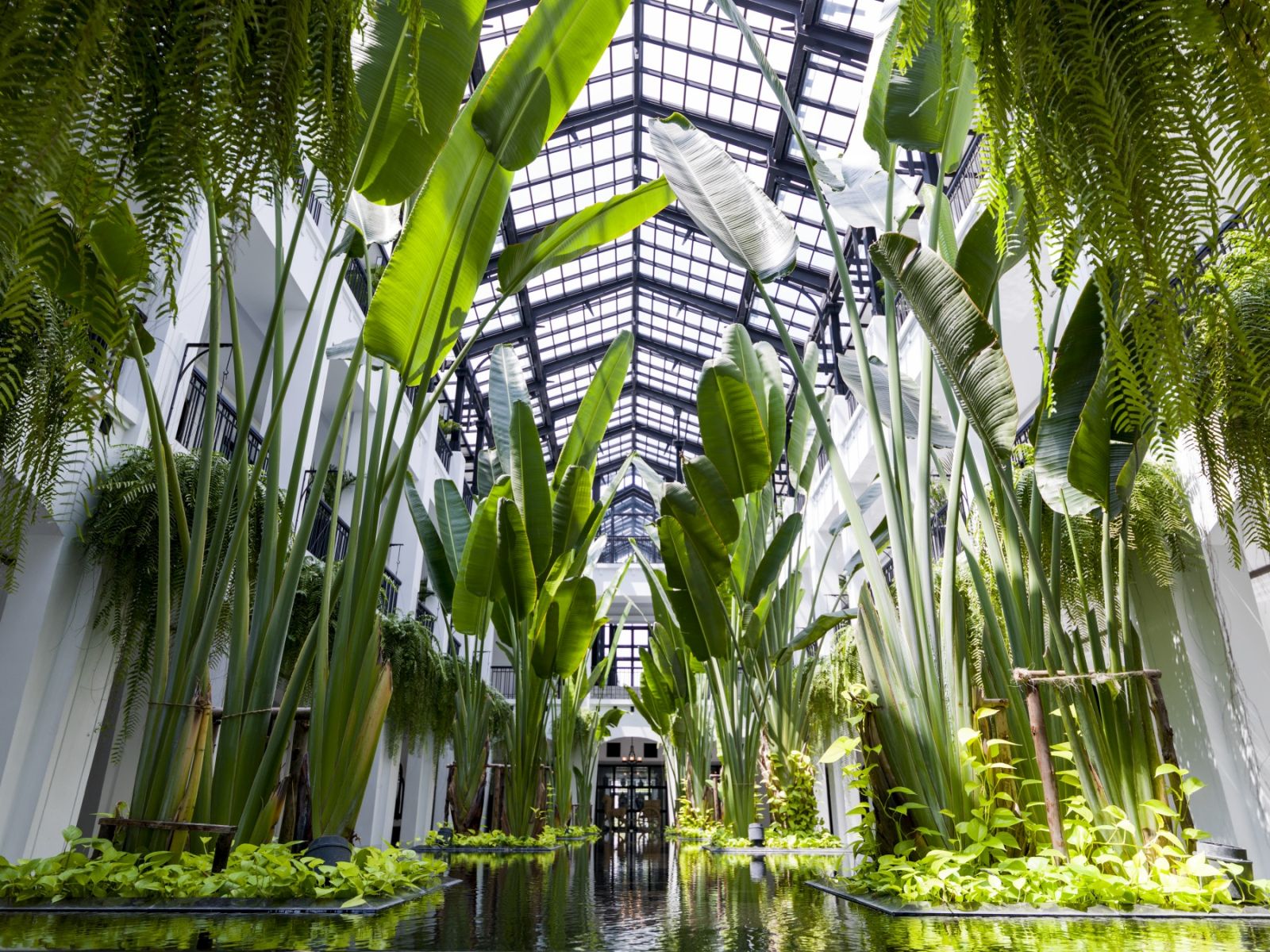 Greenery in the atrium of the Siam Hotel in Bangkok