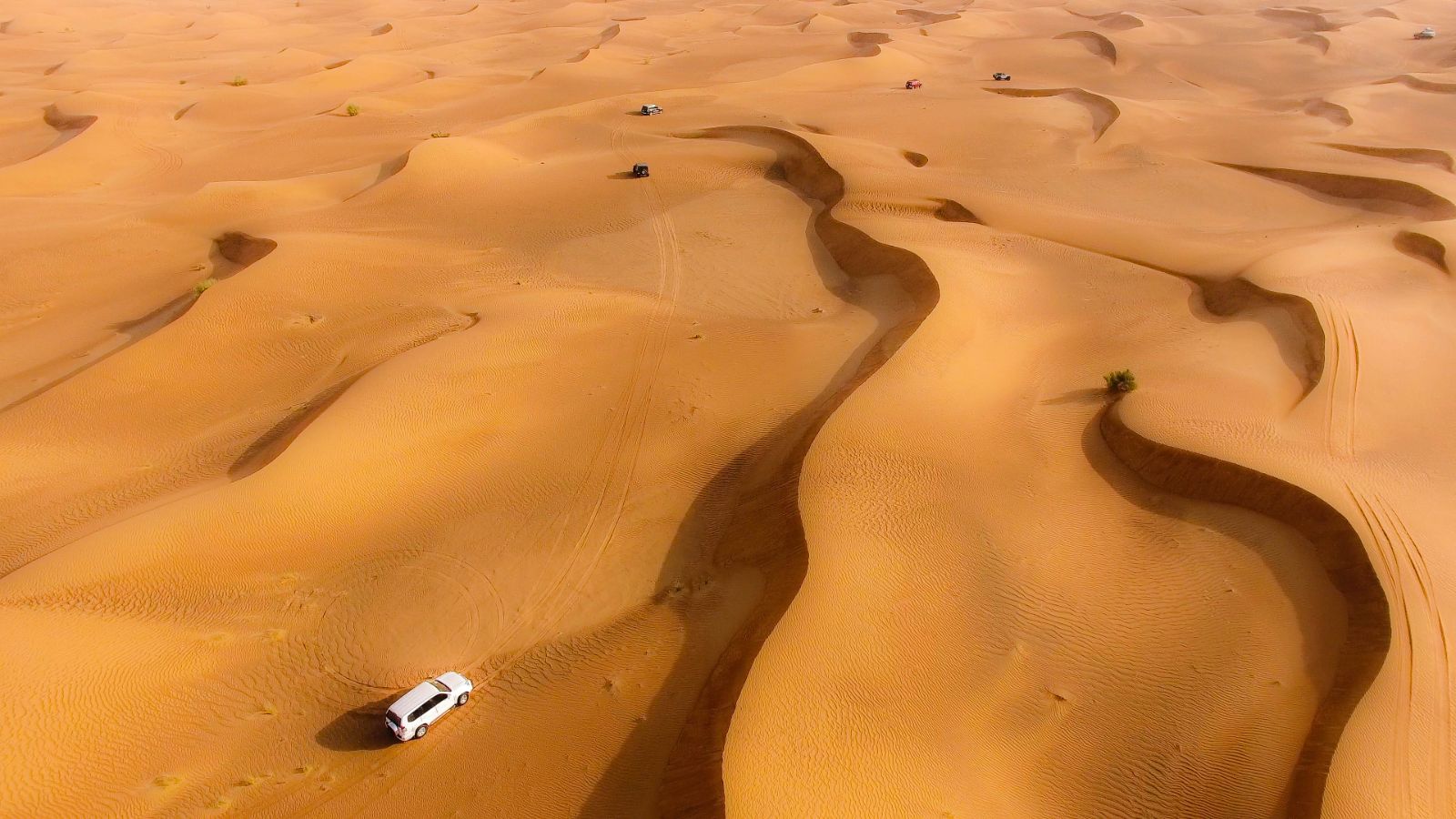Aerial view of jeeps driving over the dunes in the Dubai desert