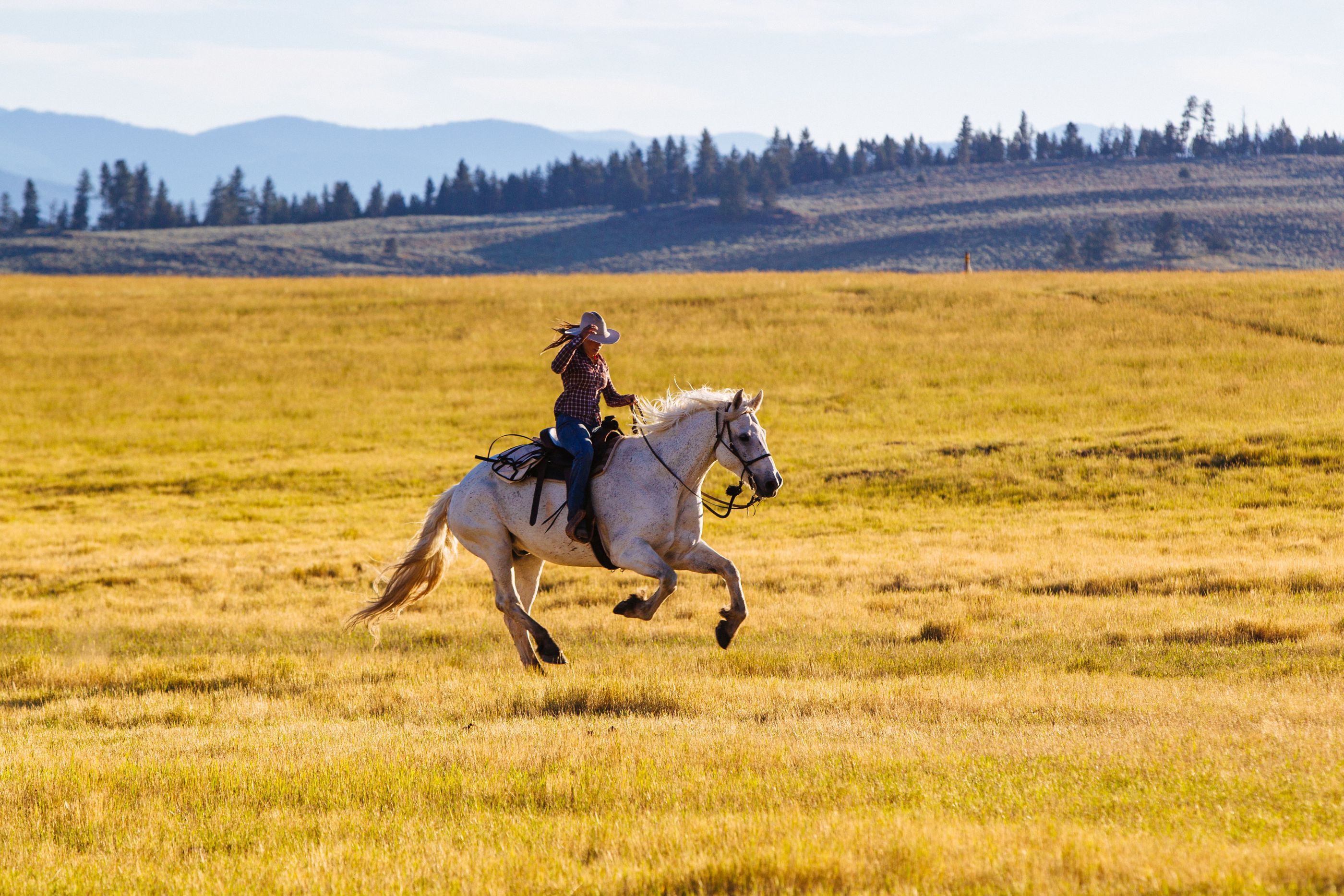 Horse riding on the lands near Paws Up Ranch, USA