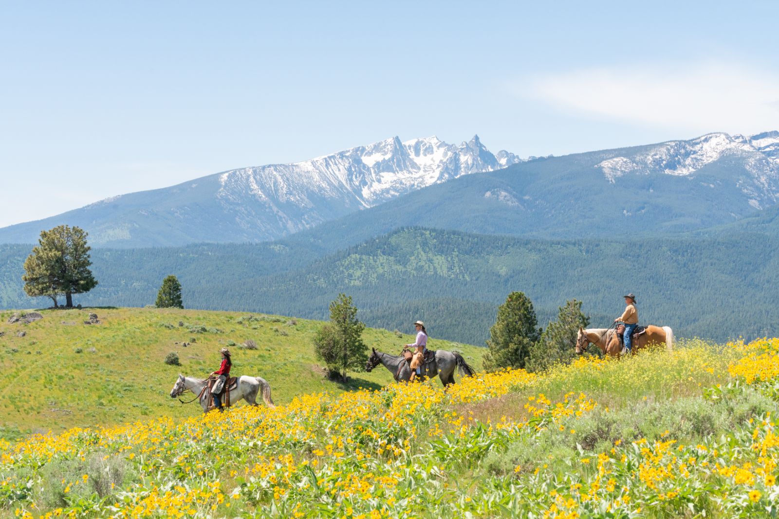Riding on the grounds of Triple Creek Ranch in Montana, USA