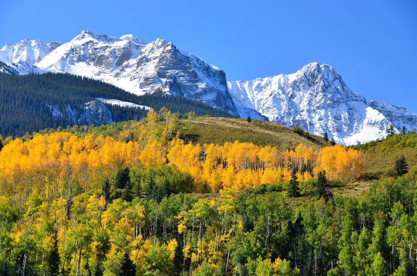 Autumn colours and the Rocky Mountains near Telluride Colorado USA